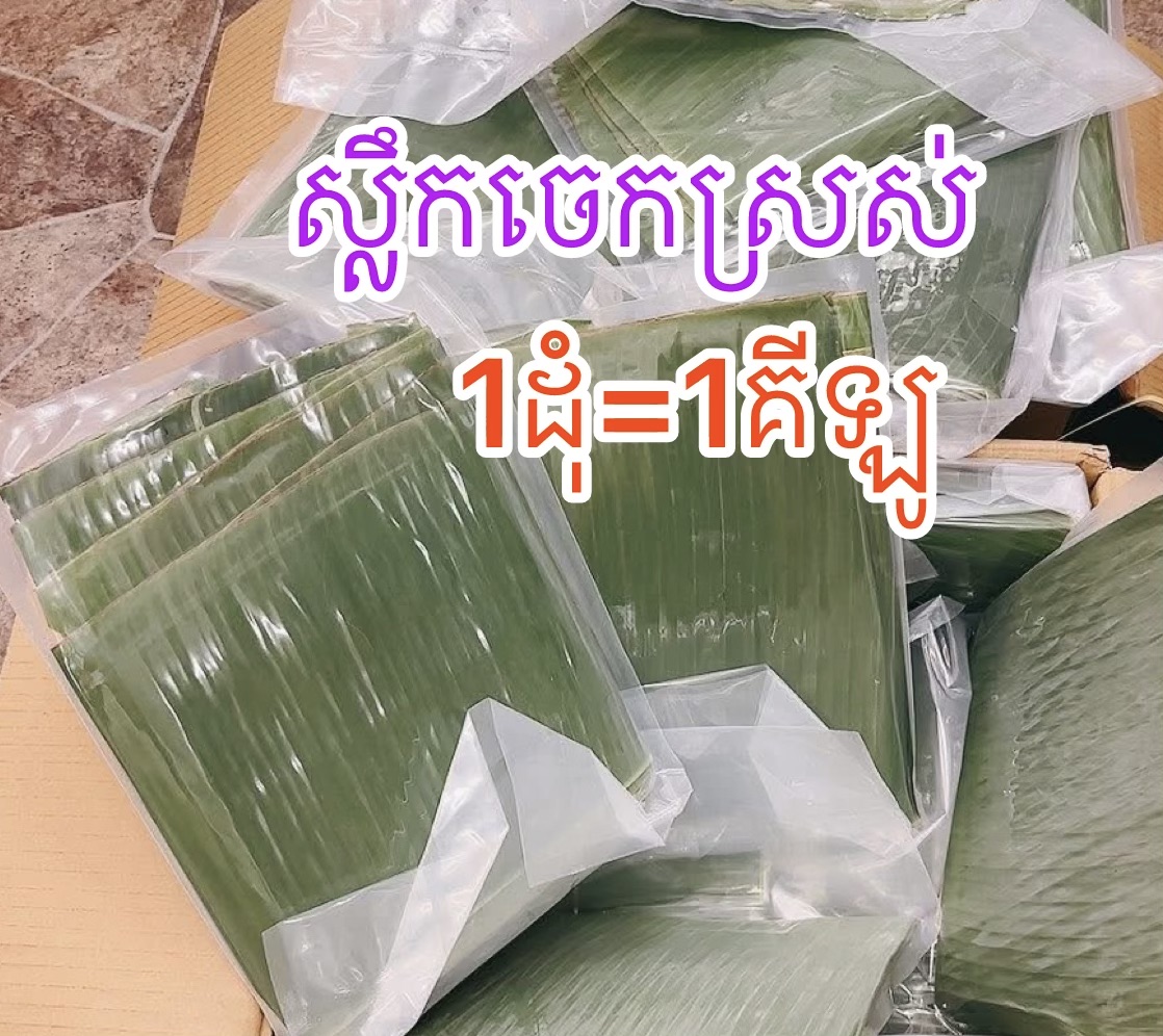 ស្លឹកចេក